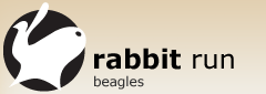 Rabbit Run Beagles - FCI Kennel